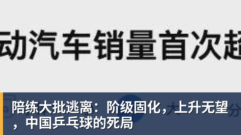陪练大批逃离：阶级固化，上升无望，中国乒乓球的死局